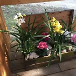 Quinta Do Meco - & Nature *