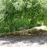 Quinta Do Meco - & Nature