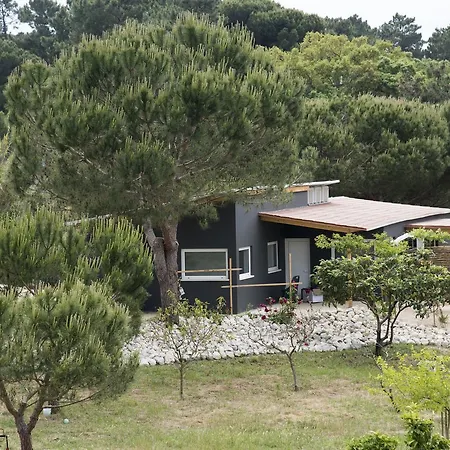 Quinta Do Meco - & Nature * אלדיה דו מקו