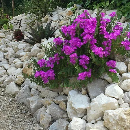 منزل ريفي Quinta Do Meco - & Nature *