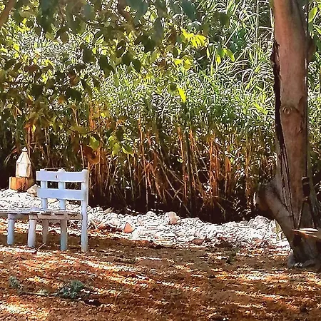 Quinta Do Meco - & Nature