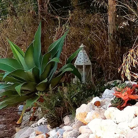 Quinta Do Meco - & Nature