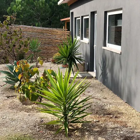 Quinta Do Meco - & Nature *