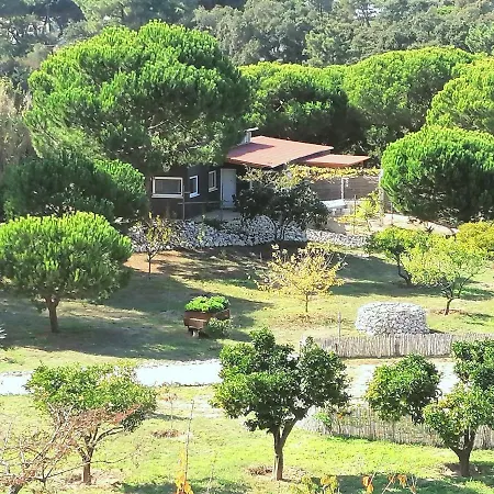 Casa rural Quinta Do Meco - & Nature *